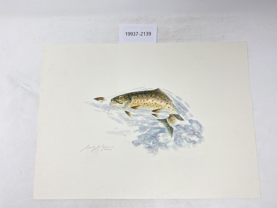 Aquarell von Maden Merkas Goranin, Bachforelle, 2000, 370x265mm