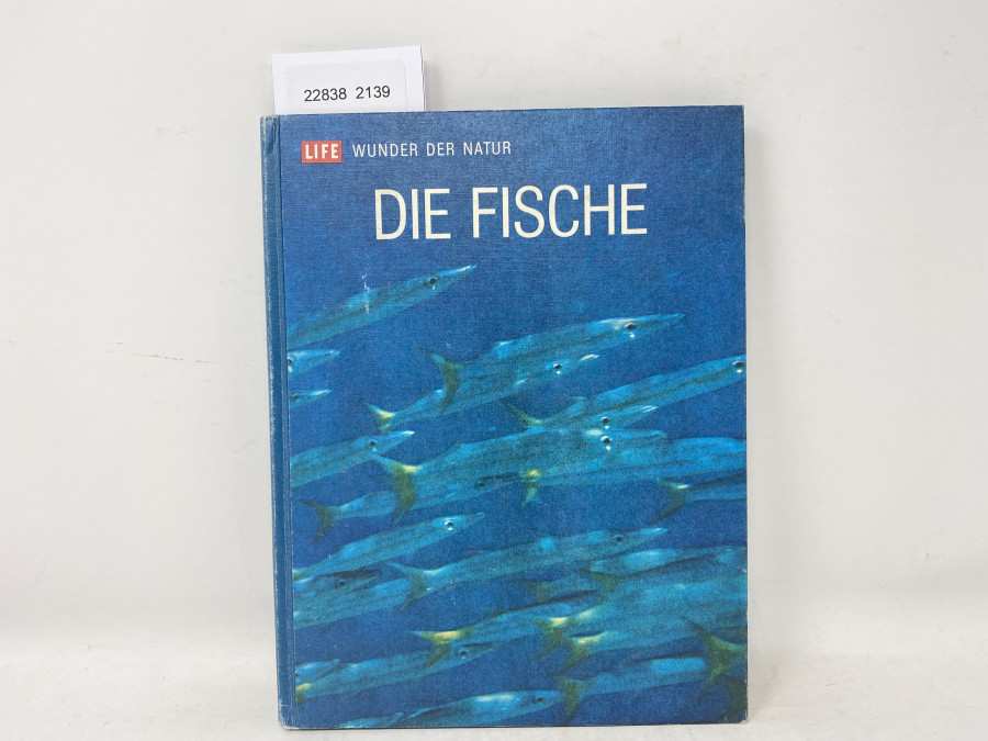 Die Fische Life Wunder der Natur, F.D. Ommanney, 1973