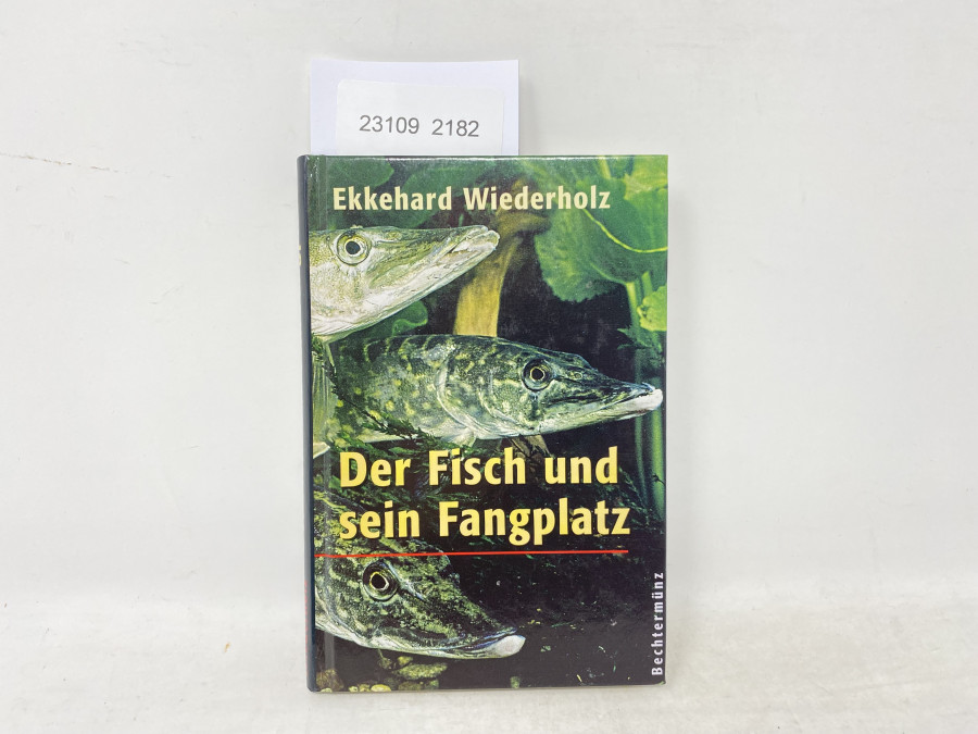 Der Fisch und sein Fangplatz, Ekkehard Wiederholz, 2001
