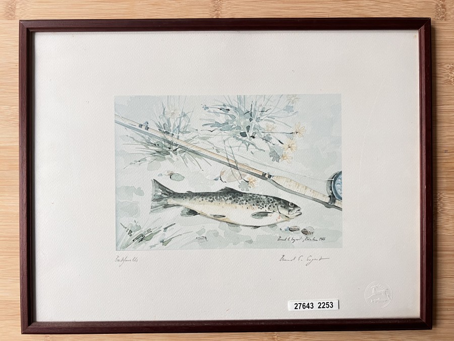 Aquarell Druck vom Kunstmaler, Historiker (ehemaliger Leiter des Deutschen Jagd- und Fischereimuseums) und 
Buchautor Bernd E. Ergert, München 1972, Bachforelle, Grösse 415x315mm, schöner Holzrahmen