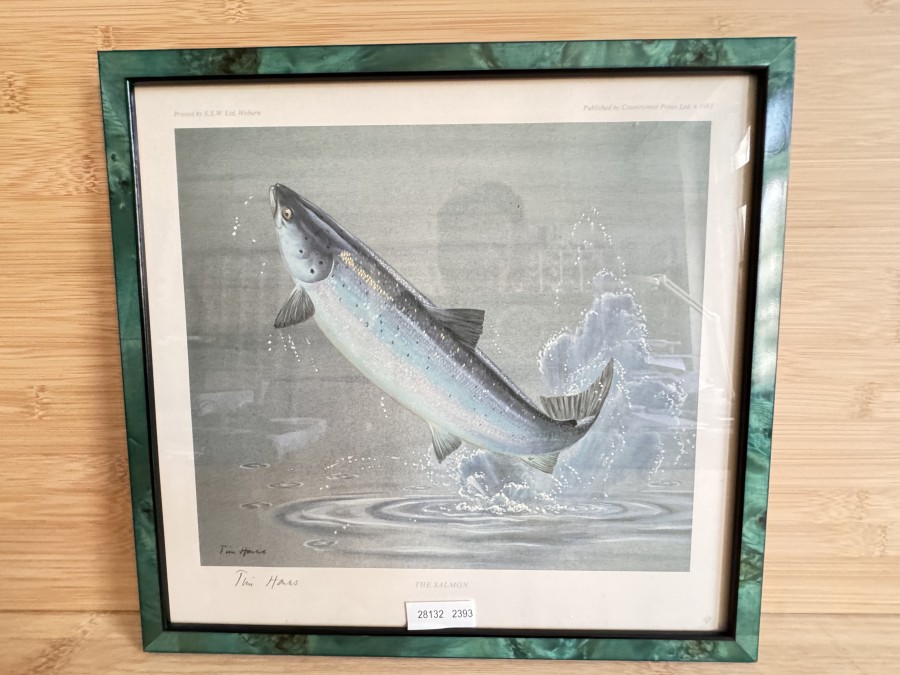 Bild, Druck ,The Salmon, signiert Tim Hars, im Rahmen, 340x320mm, Printed by S.S.W. Ltd Woburn, Published by Countryman Prints Ltd. 1983