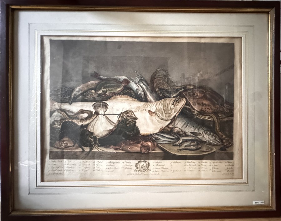 Kupferstich, handcoleriert, Stillleben Fische, John Boydell, 1720 - 1804),  Grösse 800x600mm, Passepartout unter Glas, vergoldeter Holzrahmen