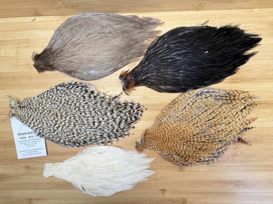 Hahnenbälge, China, 5 verschiedene Farben