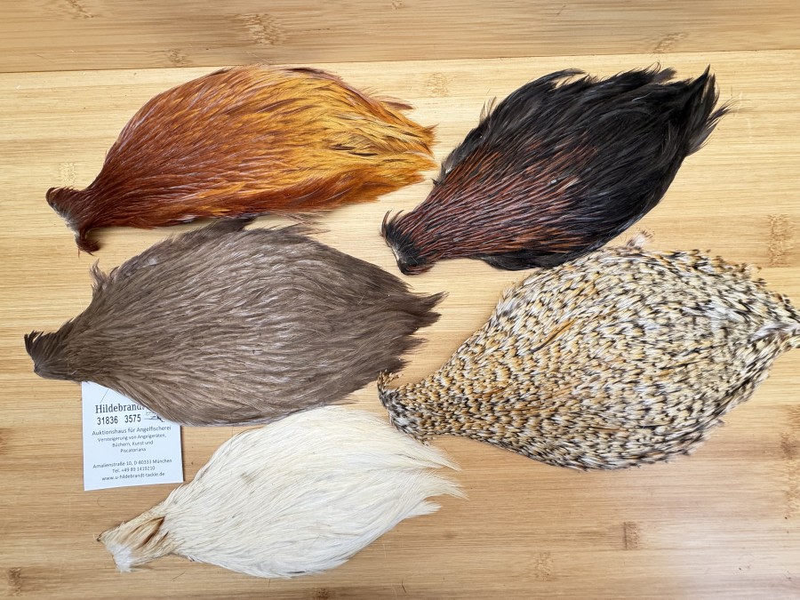 Hahnenbälge, China, 5 verschiedene Farben