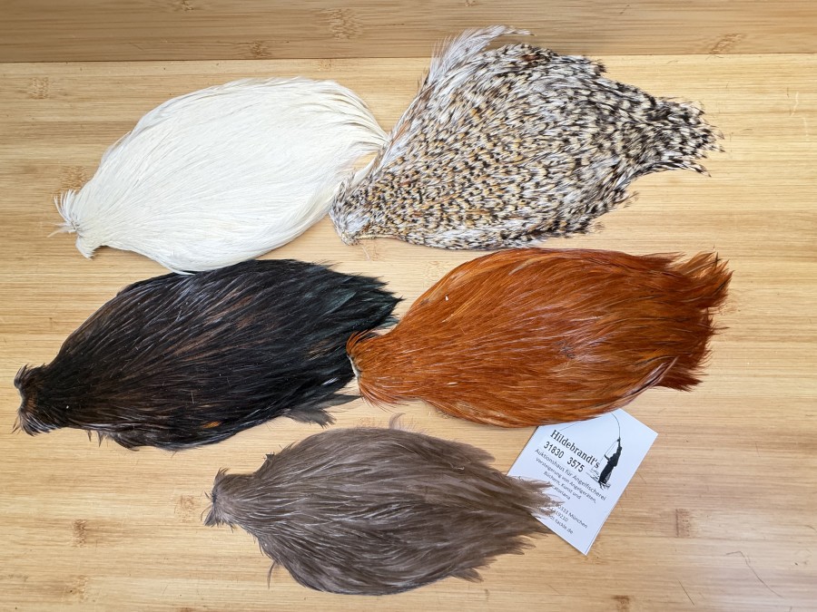 Hahnenbälge, China, 5 verschiedene Farben