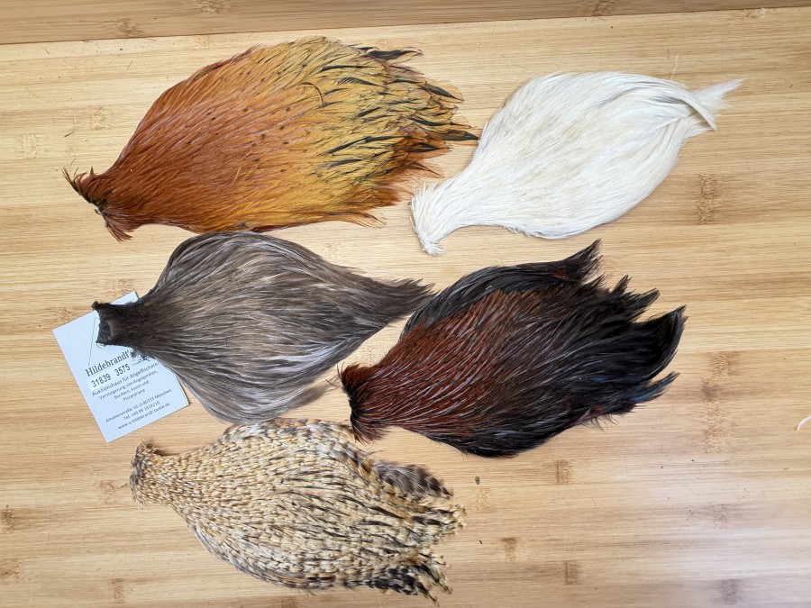 Hahnenbälge, China, 5 verschiedene Farben