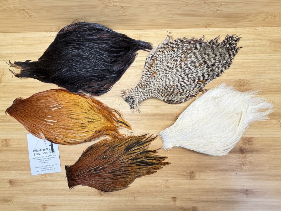 Hahnenbälge, China, 5 verschiedene Farben