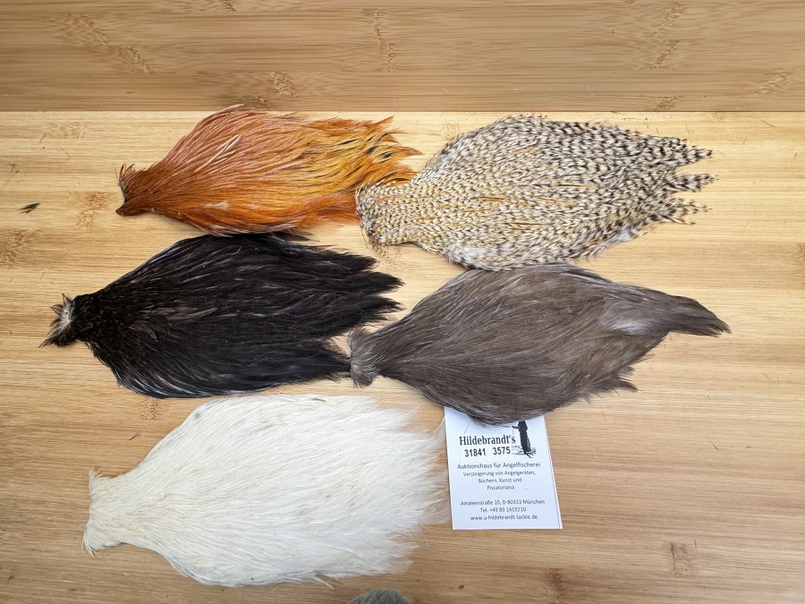 Hahnenbälge, China, 5 verschiedene Farben