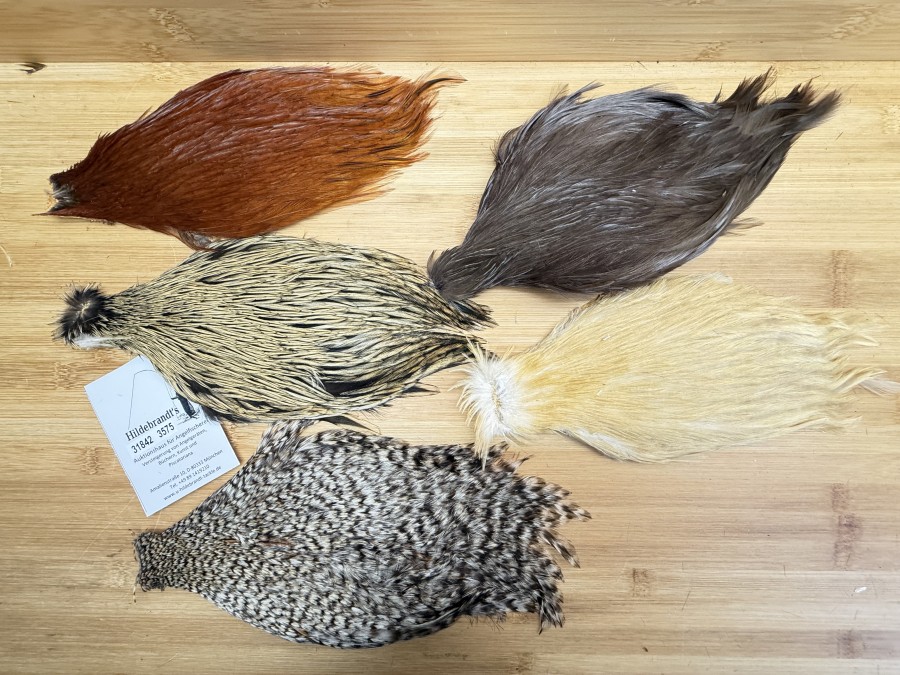 Hahnenbälge, China, 5 verschiedene Farben