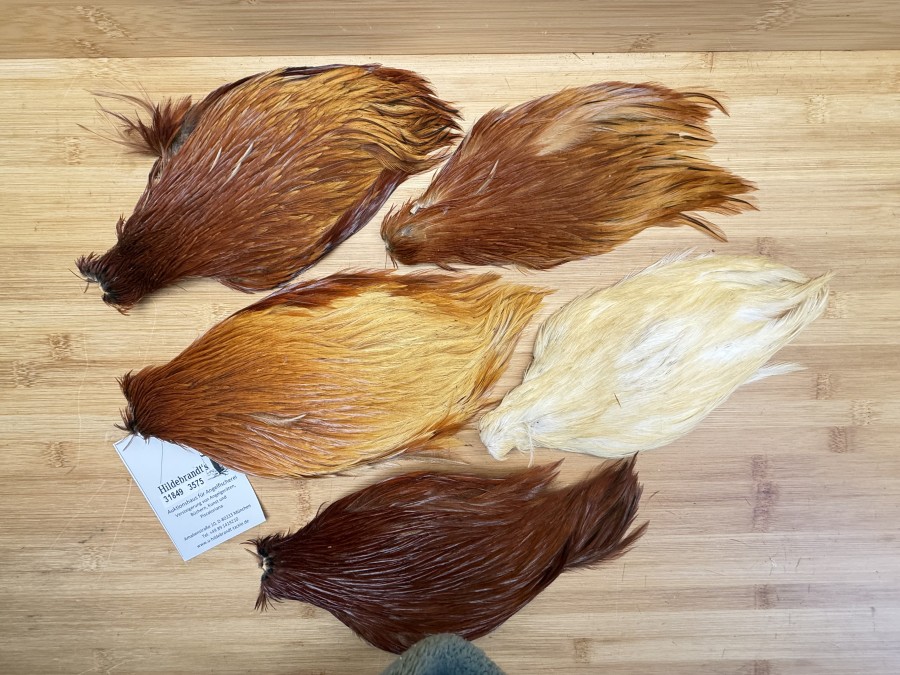 Hahnenbälge, China, 5 verschiedene Farben