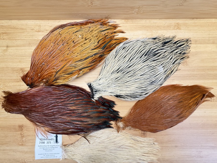 Hahnenbälge, China, 5 verschiedene Farben