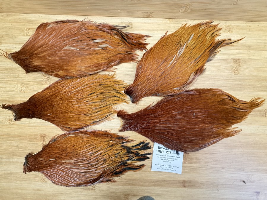 Hahnenbälge, China, 5 verschiedene braun Farben