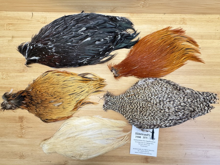 Hahnenbälge, China, 5 verschiedene Farben