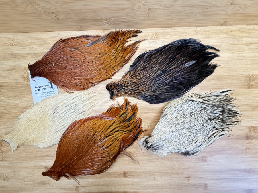 Hahnenbälge, China, 5 verschiedene Farben