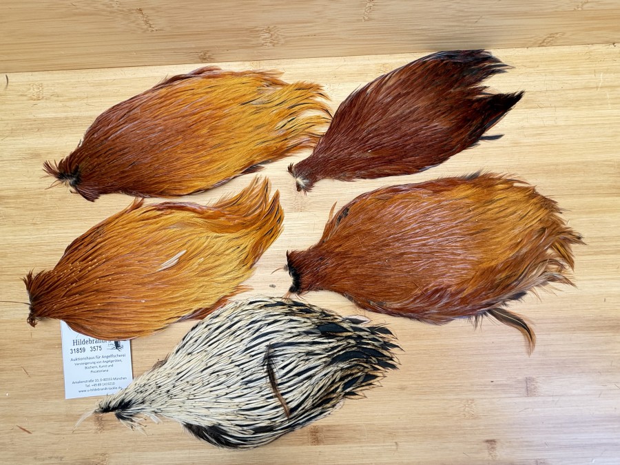 Hahnenbälge, China, 5 verschiedene braun Farben