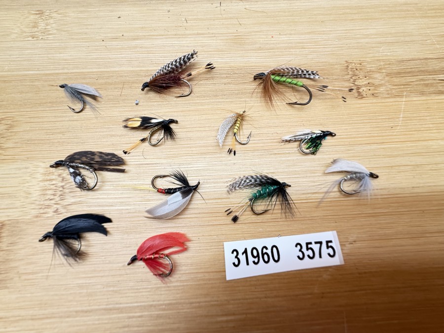 Nassfliegen, Bavaria Fliegen, 12 verschiedene Muster, #10 - 12