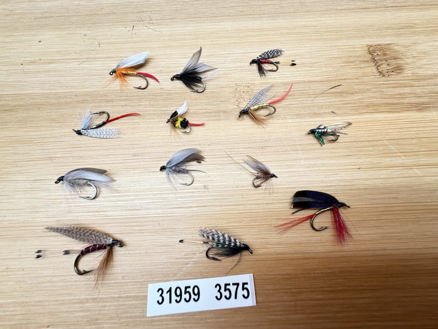 Nassfliegen, Bavaria Fliegen, 12 verschiedene Muster, #10 - 12