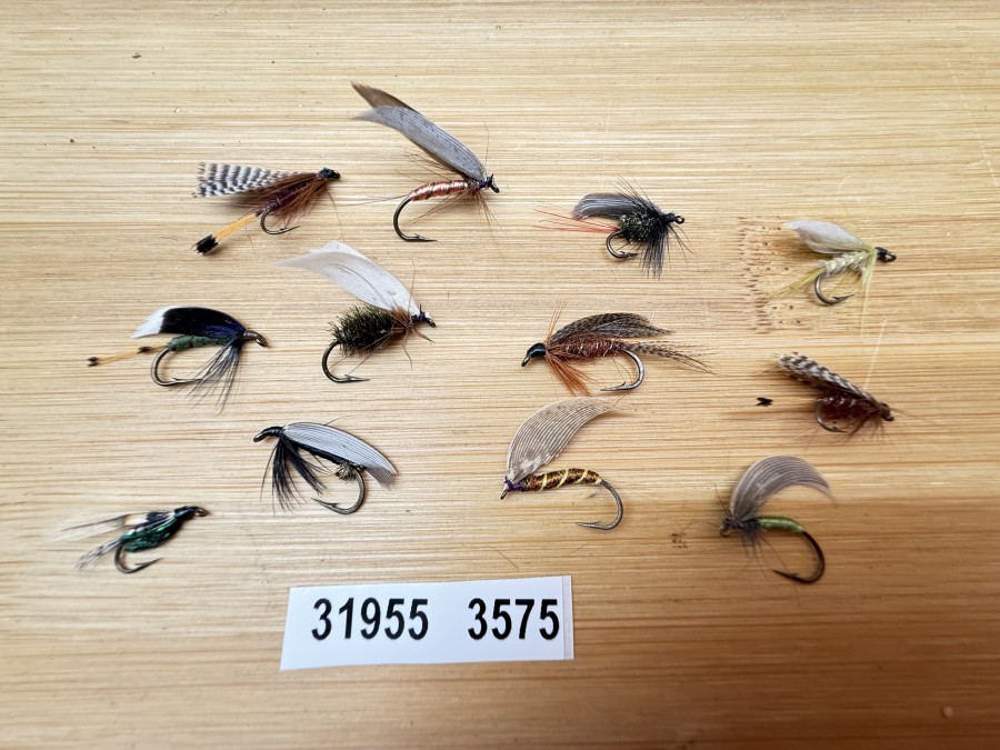 Nassfliegen, Bavaria Fliegen, 12 verschiedene Muster, #10 - 12