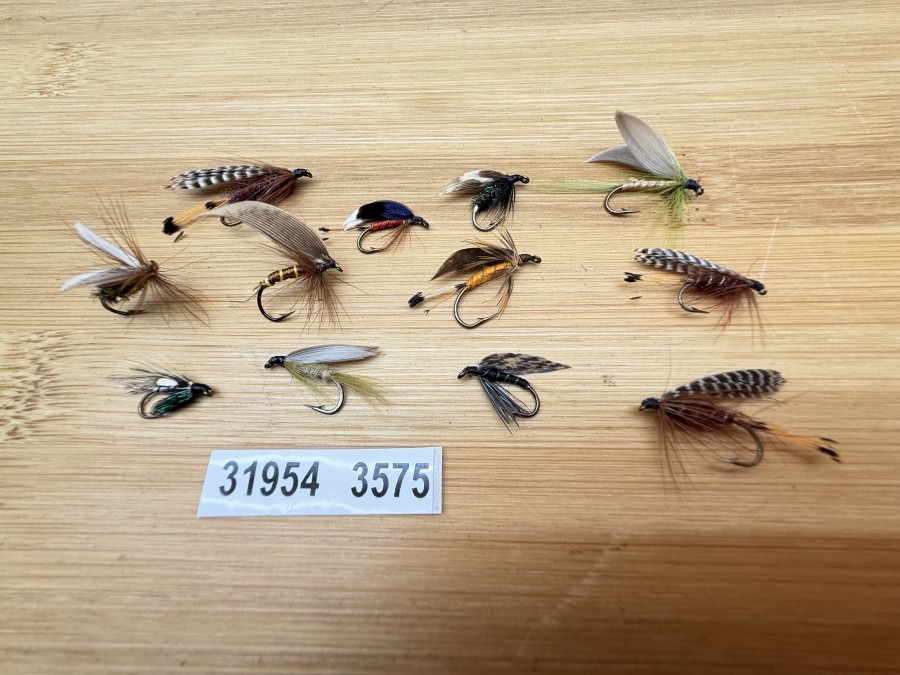 Nassfliegen, Bavaria Fliegen, 12 verschiedene Muster, #10 - 12