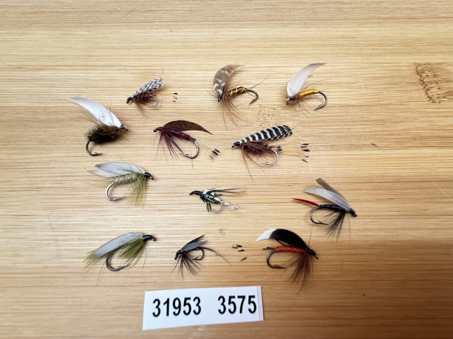 Nassfliegen, Bavaria Fliegen, 12 verschiedene Muster, #10 - 12