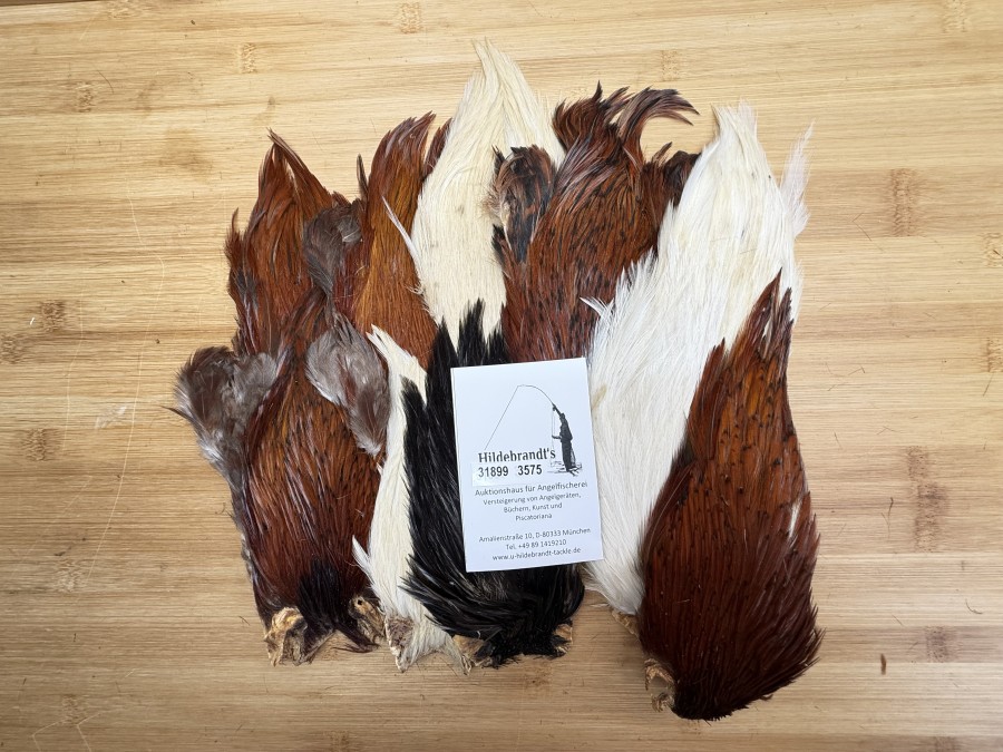 Hahnenbälge, Indien, 10 Stück, verschiedene Farben