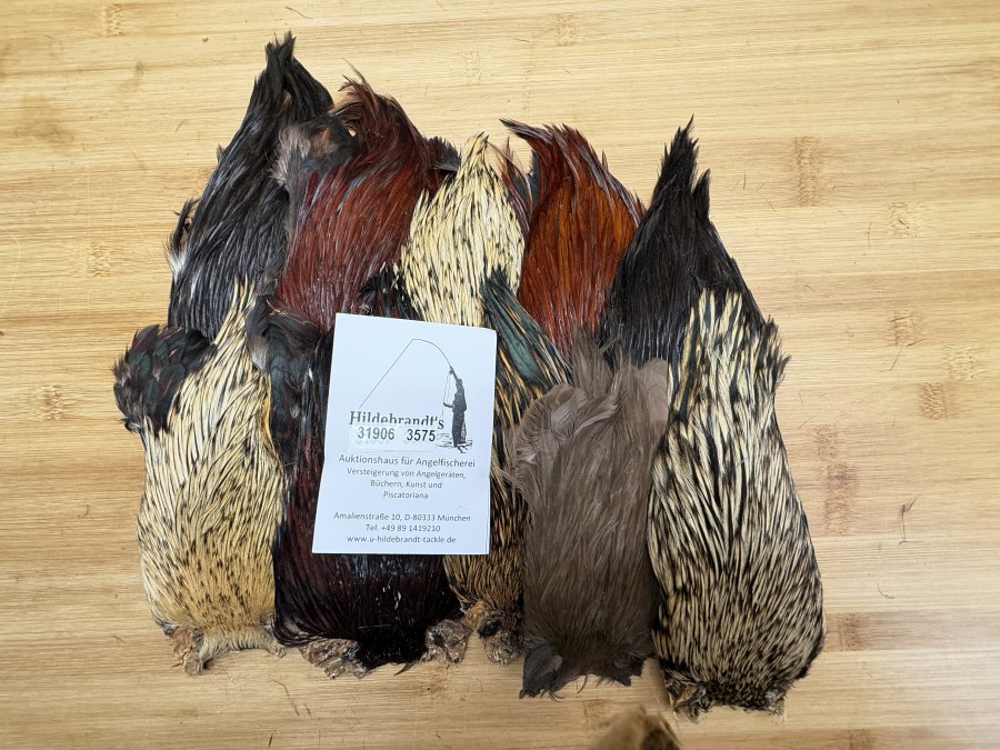 Hahnenbälge, Indien, 10 Stück, verschiedene Farben