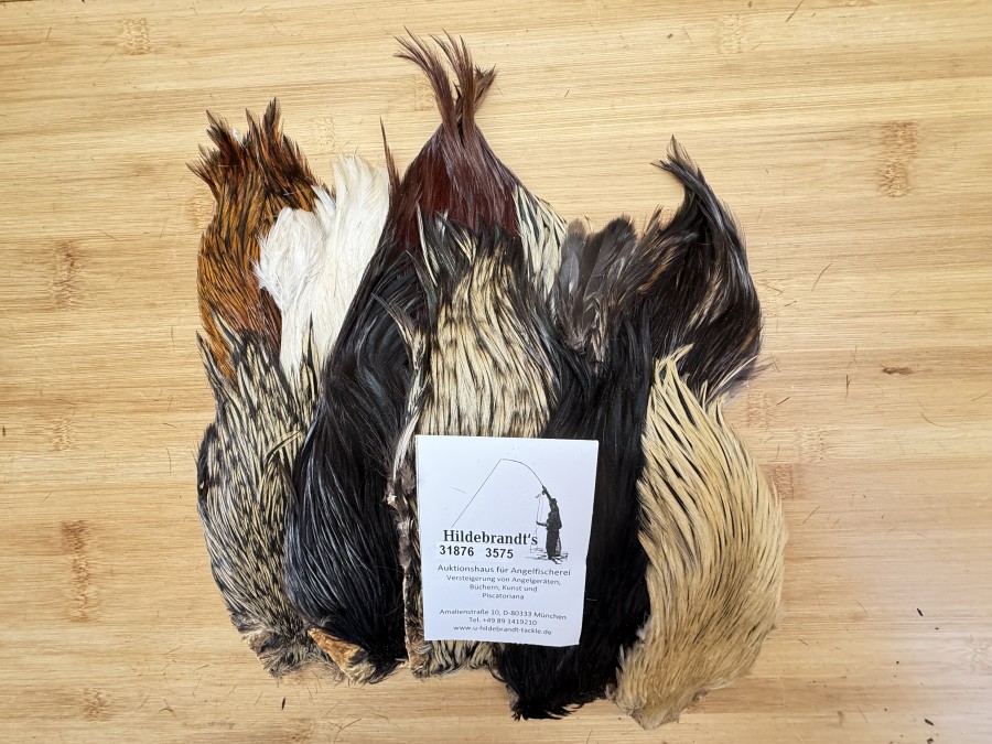 Hahnenbälge, Indien, 10 Stück, verschiedene Farben