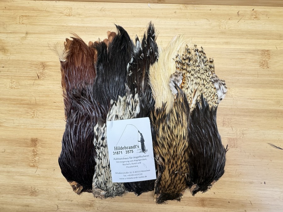 Hahnenbälge, Indien, 10 Stück, verschiedene Farben