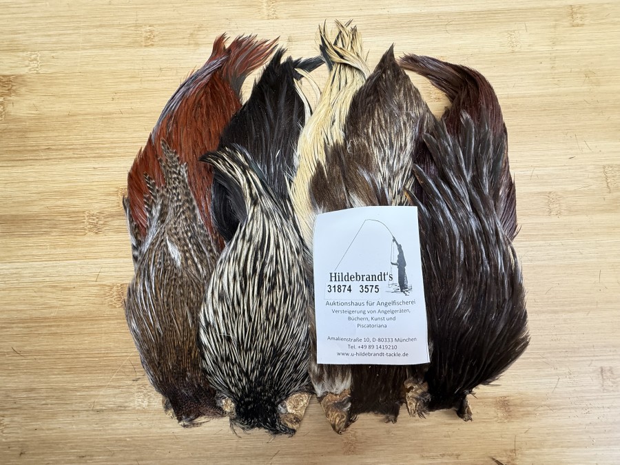 Hahnenbälge, Indien, 9 Stück, verschiedene Farben