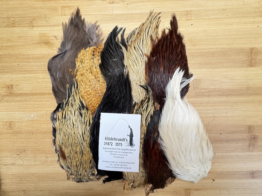 Hahnenbälge, Indien, 10 Stück, verschiedene Farben