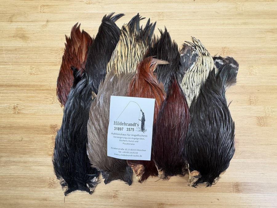 Hahnenbälge, Indien, 10 Stück, verschiedene Farben