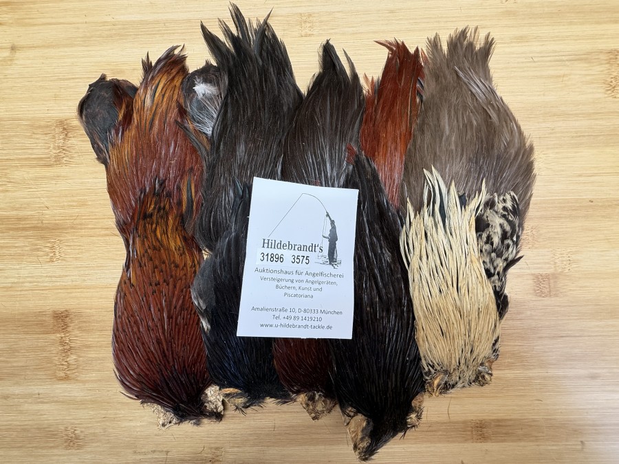 Hahnenbälge, Indien, 10 Stück, verschiedene Farben