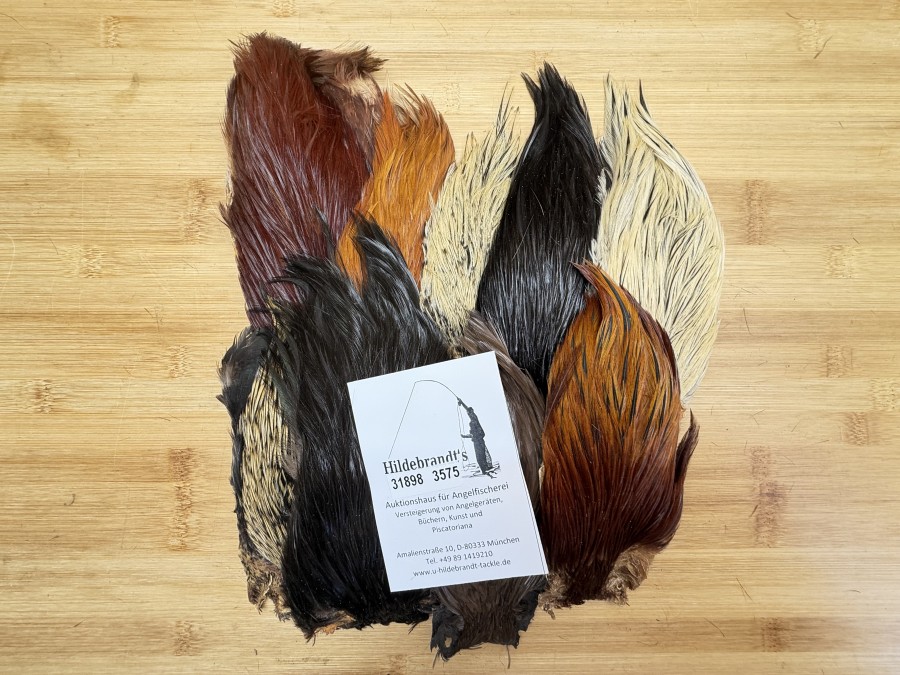 Hahnenbälge, Indien, 9 Stück, verschiedene Farben