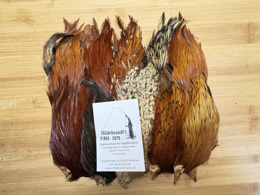 Hahnenbälge, Indien, 10 Stück, verschiedene Farben