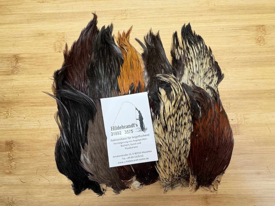 Hahnenbälge, Indien, 10 Stück, verschiedene Farben