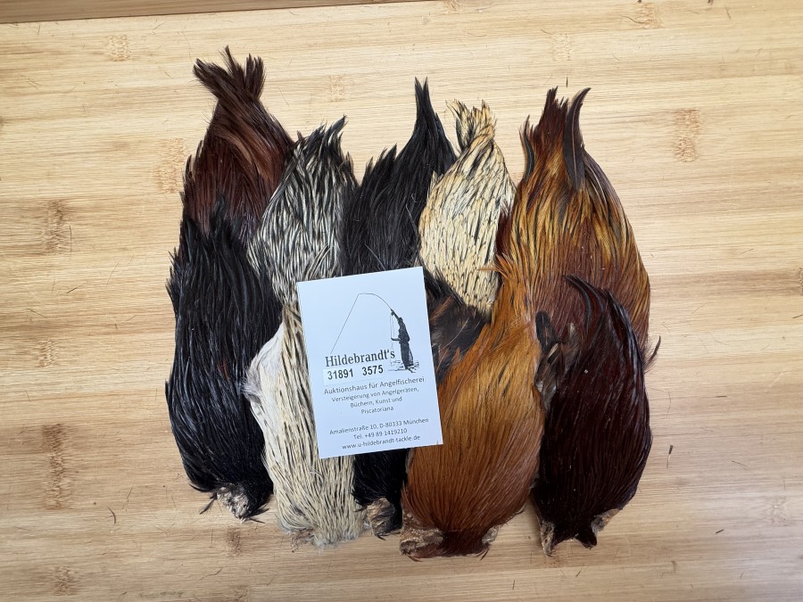 Hahnenbälge, Indien, 10 Stück, verschiedene Farben