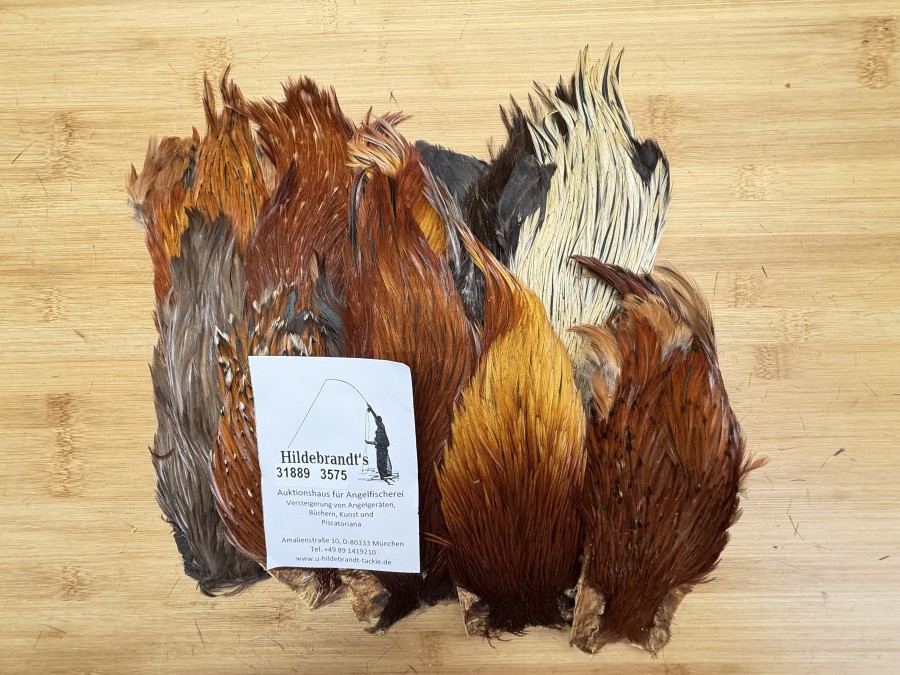 Hahnenbälge, Indien, 10 Stück, verschiedene Farben