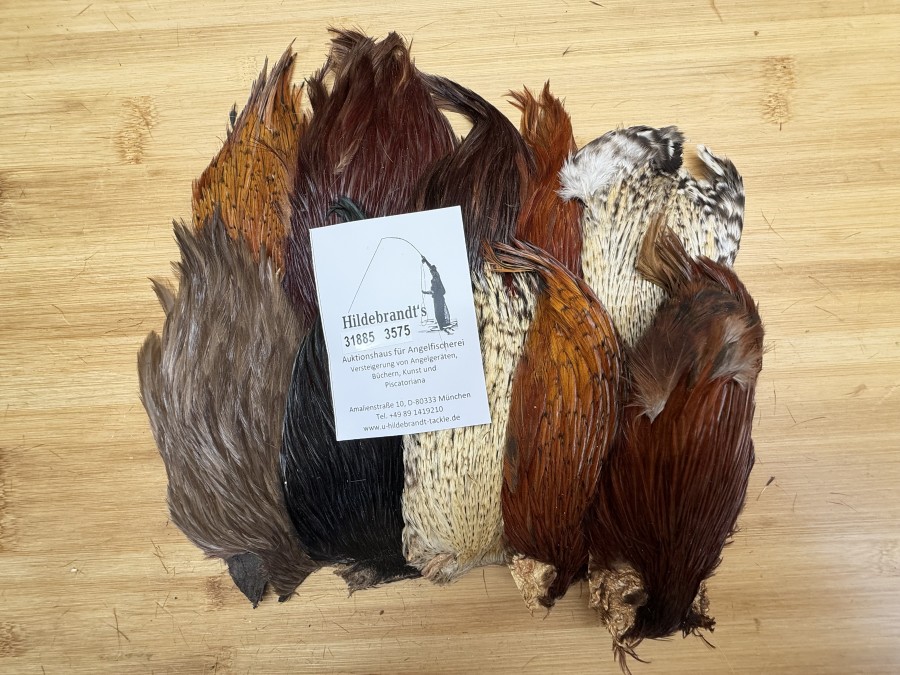 Hahnenbälge, Indien, 10 Stück, verschiedene Farben