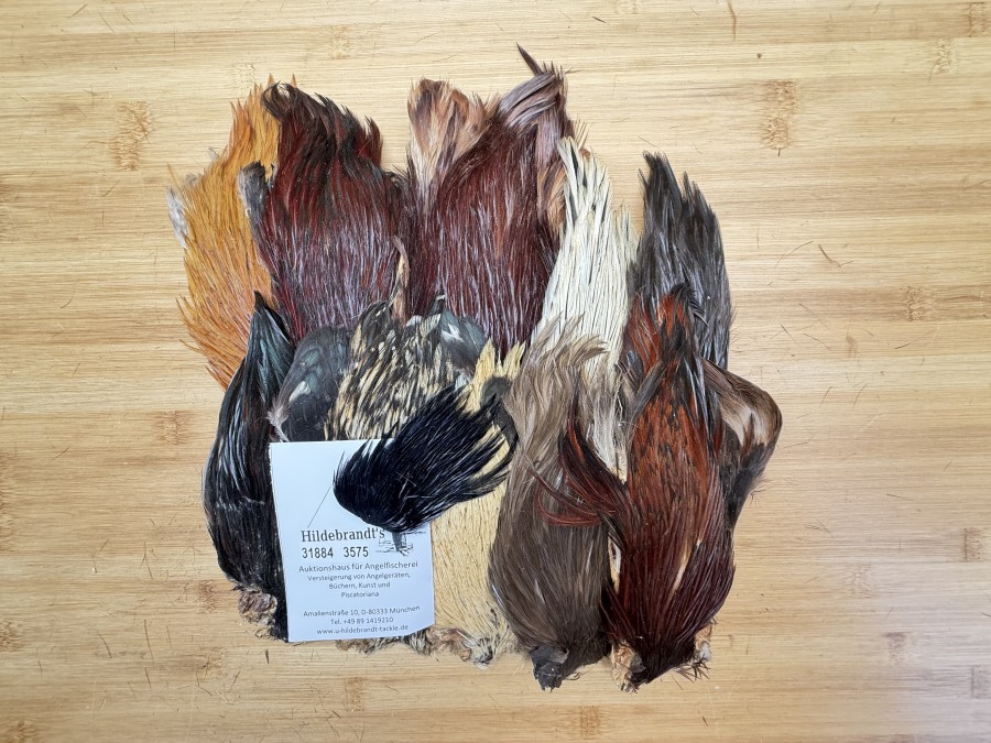 Hahnenbälge, Indien, 10 Stück, verschiedene Farben