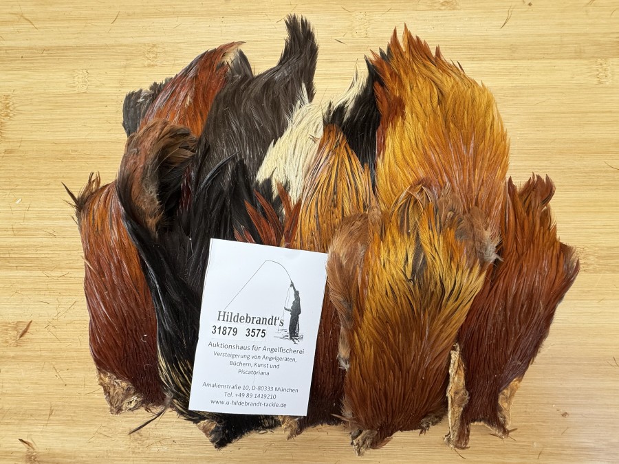 Hahnenbälge, Indien, 10 Stück, verschiedene braun Farben