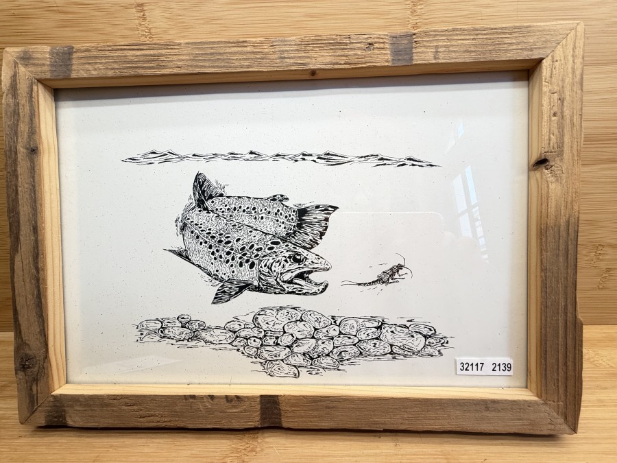Handgezeichnetes Tuschebild, Bachforelle auf Nahrungssuche, Thomas Wölfle, Altholzrahmen, 330x230mm, signiert auf Rückseite