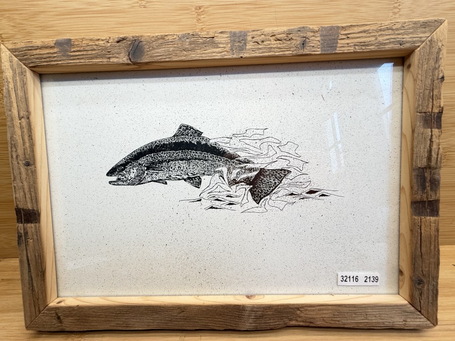 Handgezeichnetes Tuschebild, Regenbogenforelle, Thomas Wölfle, Altholzrahmen, 330x230mm, signiert auf Rückseite