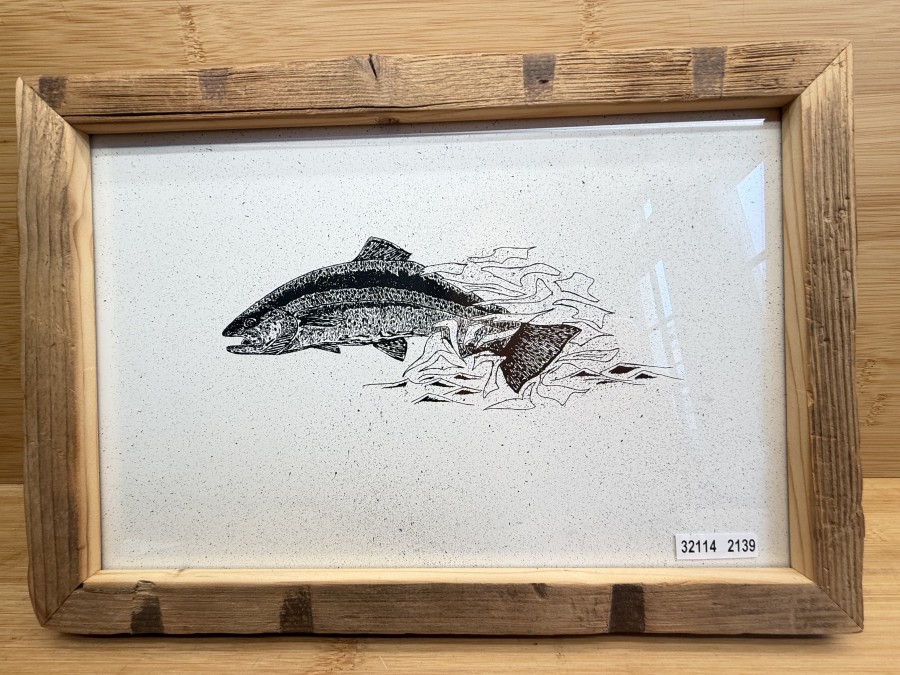 Handgezeichnetes Tuschebild, Regenbogenforelle, Thomas Wölfle, Altholzrahmen, 330x230mm, signiert auf Rückseite